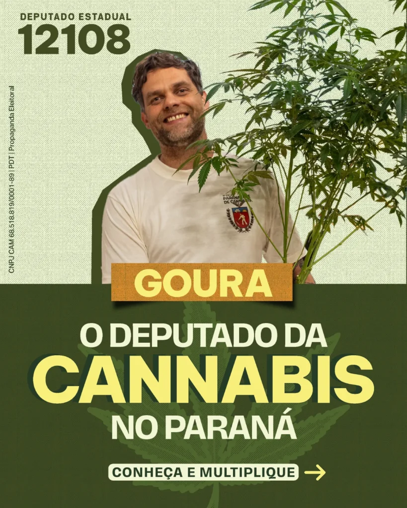 O deputado da Cannabis no Paraná